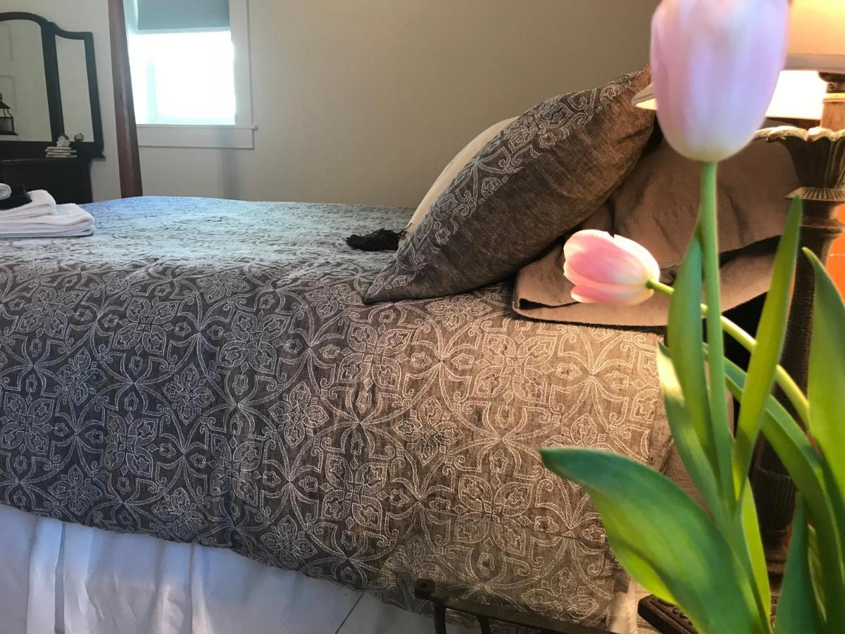 Snowgoose Pond Bed & Breakfast ปาล์มเมอร์ ภายนอก รูปภาพ